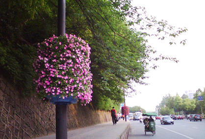 The vertical greening cylindrical light pole is connected to the flower pot to make the light pole alive