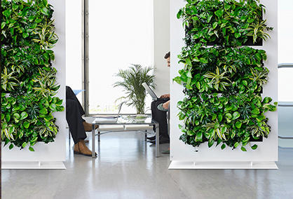 What value does the green plant wall have in the indoor application?