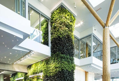 Vertical greening plant wall construction: construction steps and design concepts
