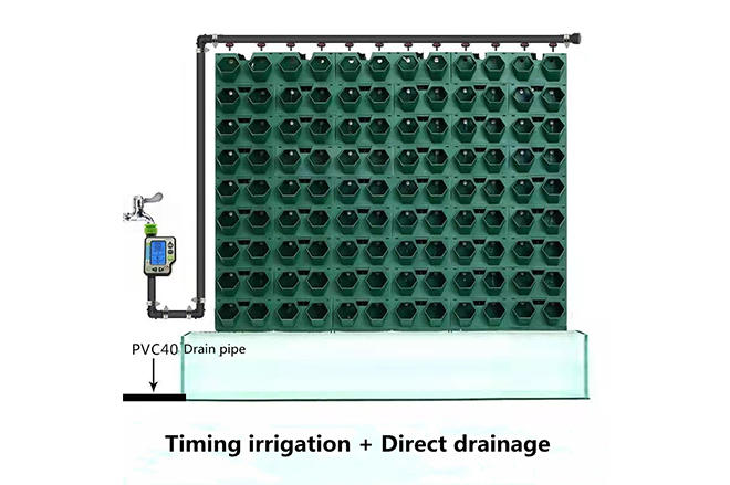 Regular irrigation and direct drainage
